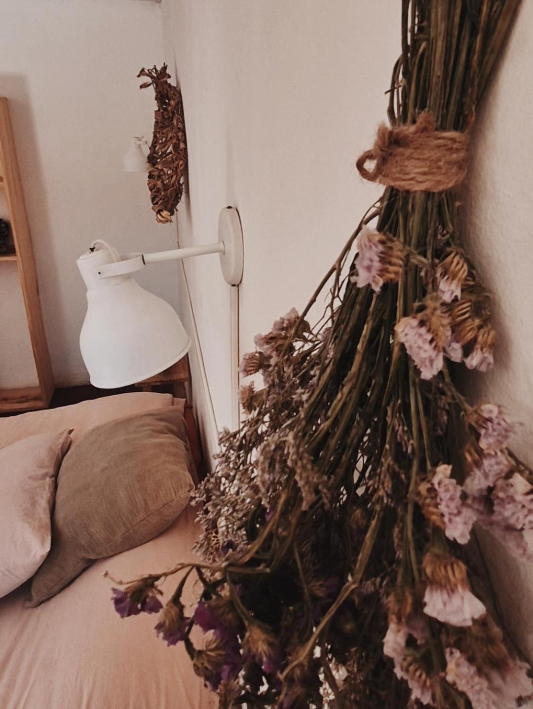 Mestiza Hostal 乌玛瓦卡 外观 照片