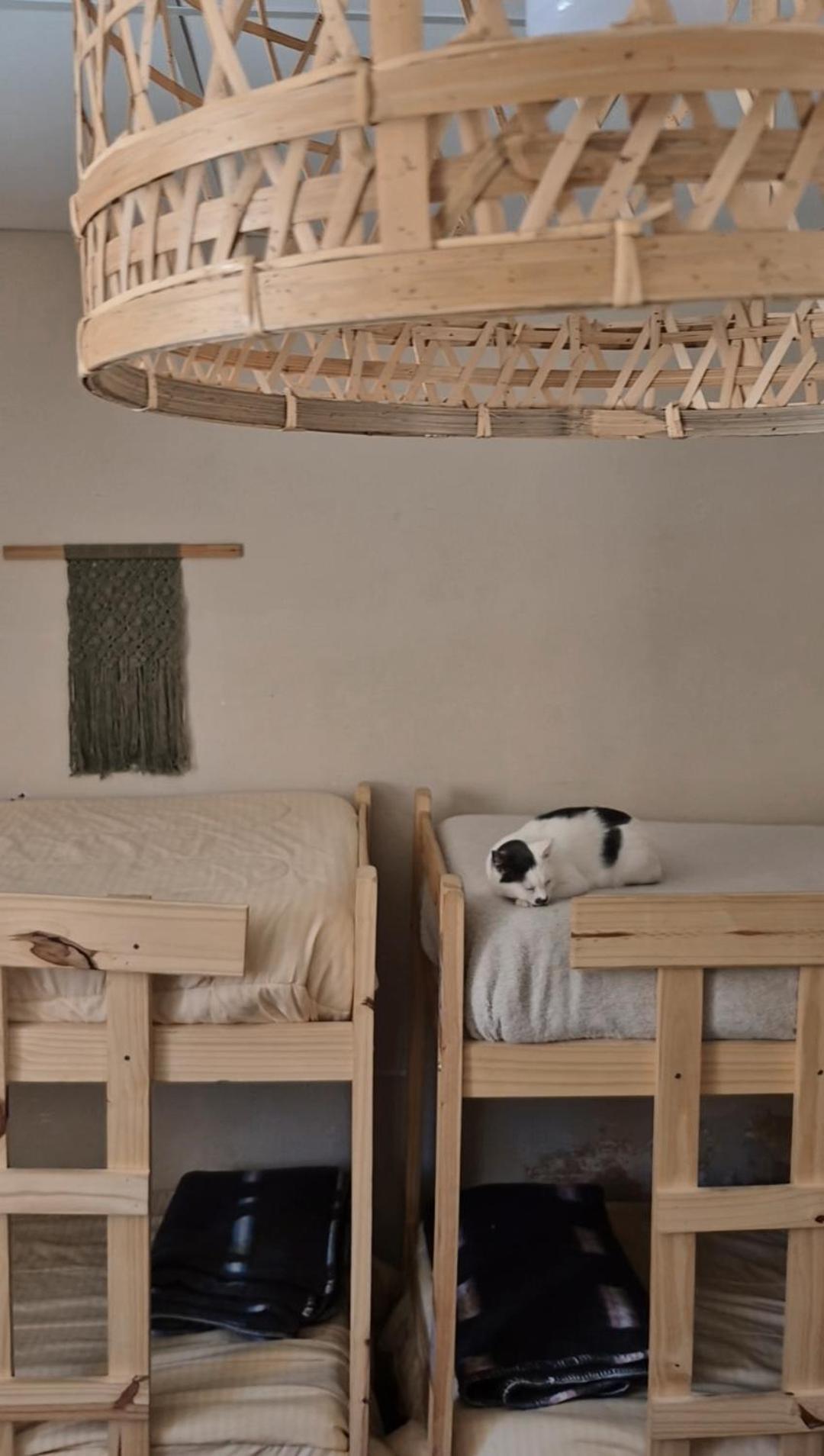 Mestiza Hostal 乌玛瓦卡 外观 照片